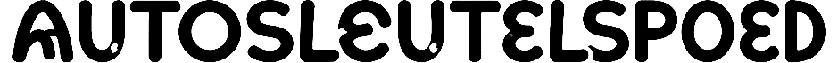 AutoSleutelSpoed — Link AI Agency client
